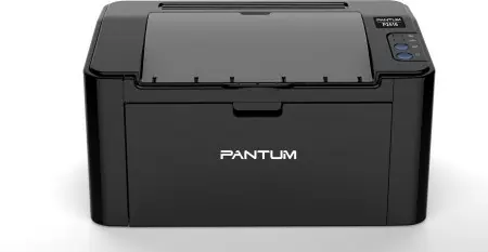 Принтер лазерный/ Pantum P2516 в Москве