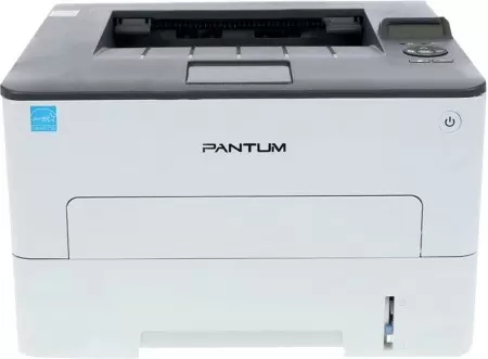 Принтер лазерный/ Pantum P3300DN в Москве