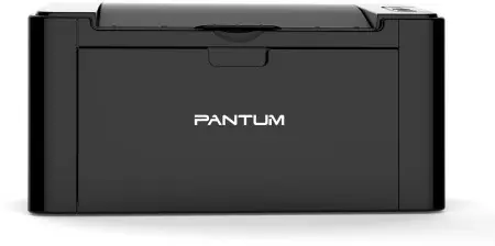Принтер лазерный/ Pantum P2207 в Москве