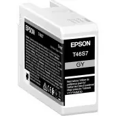 Картридж/ Singlepack Gray T46S7 UltraChromePro10 ink 25ml Картридж/ Singlepack Gray T46S7 UltraChromePro10 ink 25ml