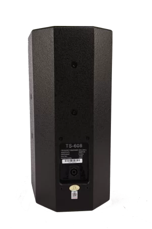 Профессиональный динамик, цвет черный/ [TS-608] 8" Professional Two Way Loudspeaker,200W at 8ohm, Black Color недорого