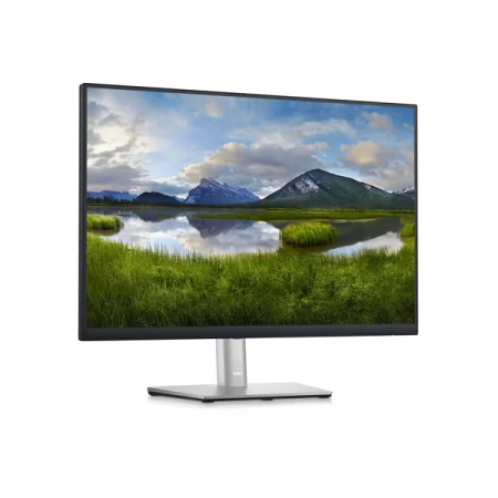 Dell 24" P2423 BK/BK (IPS; 16:10; 300cd/m2; 1000:1; 5ms; 1920x1200; 178/178; VGA; DP; HDMI; 4xUSB; HAS; Tilt; Pivot) недорого