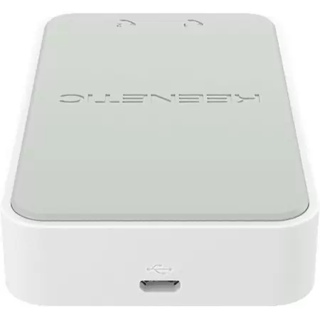 Модуль/ Keenetic Linear (KN-3110) USB-адаптер для двух аналоговых телефонов