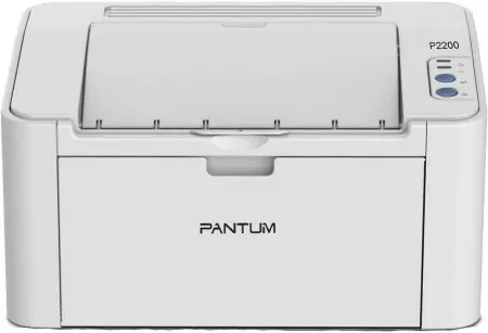 Принтер лазерный/ Pantum P2200 в Москве