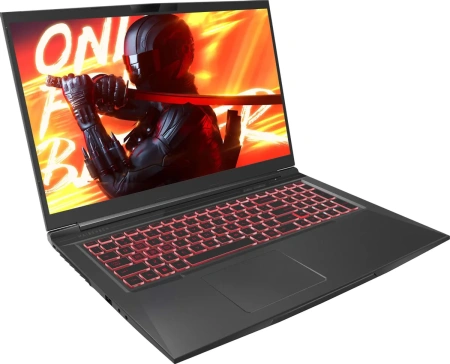 Ноутбук/ Maibenben X725 17.3"(1920x1080 (матовый) IPS)/Intel Core i5 12450H(2Ghz)/16384Mb/512PCISSDGb/Ext:nVidia GeForce RTX4060(8192Mb)/Cam/BT/WiFi/war 1y/Black/Linux + Screen 144Hz на заказ