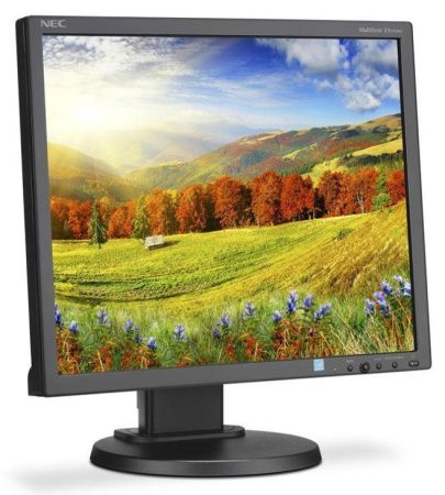 NEC 19" EA193Mi-BK LCD Bk/Bk ( IPS; 5:4; 250cd/m2; 1000:1; 6ms; 1280x1024; 178/178; D-Sub; DVI-D; DP; HAS 110mm; Swiv 45/45; Tilt; Pivot; Spk 1+1W) дешево