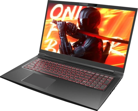 Ноутбук/ Maibenben X725 17.3"(1920x1080 (матовый) IPS)/Intel Core i5 12450H(2Ghz)/16384Mb/512PCISSDGb/Ext:nVidia GeForce RTX4060(8192Mb)/Cam/BT/WiFi/war 1y/Black/Linux + Screen 144Hz дешево