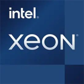 CPU Intel Xeon E-2336 (2.9-4.8GHz/12MB/6c/12t) LGA1200 OEM, TDP 65W, up to 128GB DDR4-3200, CM8070804495816SRKN5, 1 year