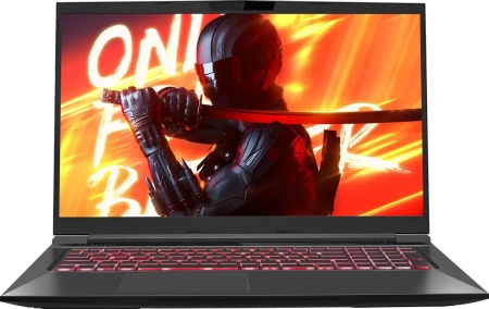 Ноутбук/ Maibenben X725 17.3"(1920x1080 (матовый) IPS)/Intel Core i5 12450H(2Ghz)/16384Mb/512PCISSDGb/Ext:nVidia GeForce RTX4060(8192Mb)/Cam/BT/WiFi/war 1y/Black/Linux + Screen 144Hz в Москве