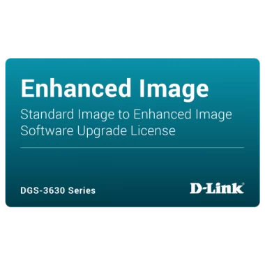 Электронный ключ для активации ПО/ DGS-3630-28SC-SE-LIC Standard Image to Enhanced Image License for DGS-3630-28SC в Москве
